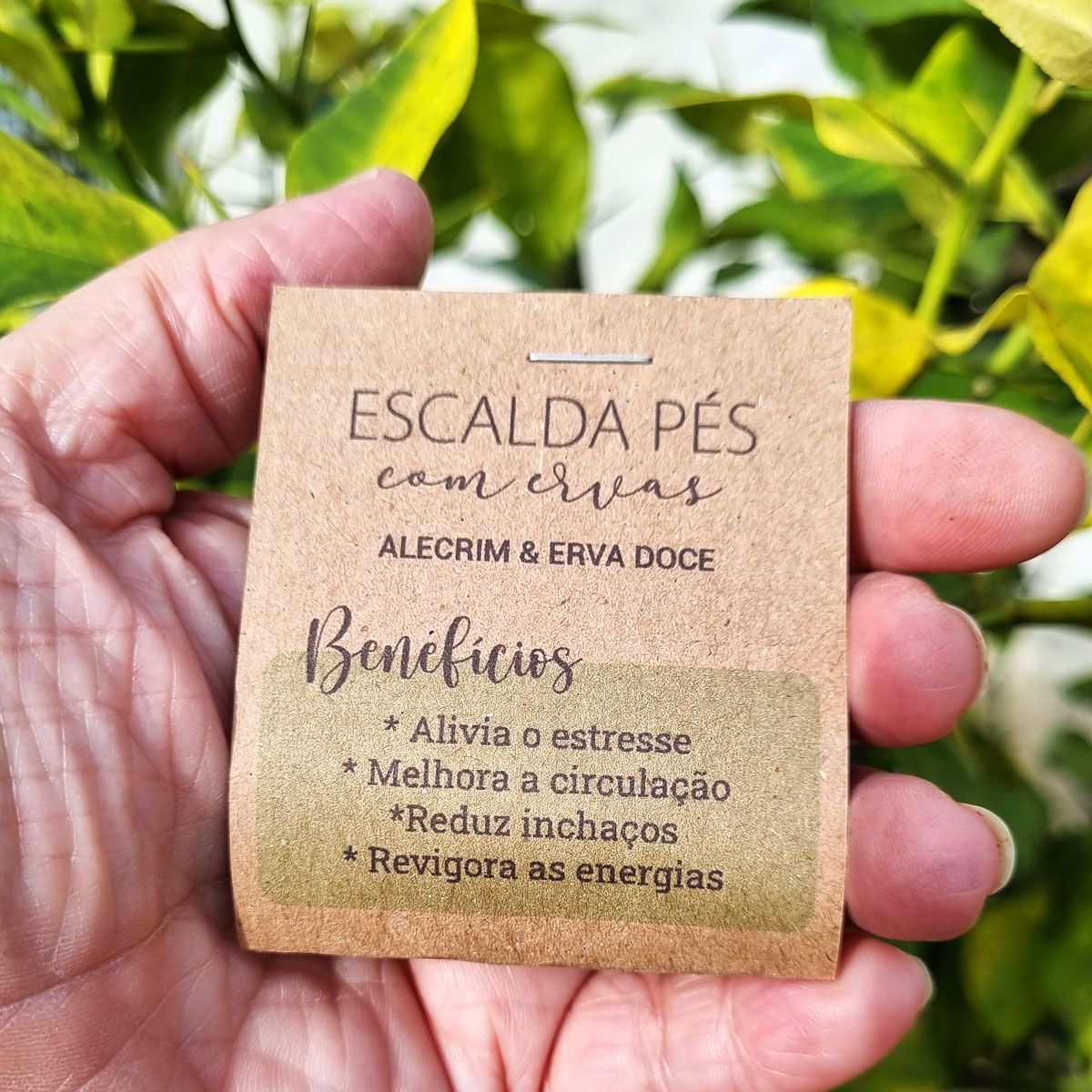200 Cards Escalda Pés 20g Mimos Lembrancinhas Spa Brindes