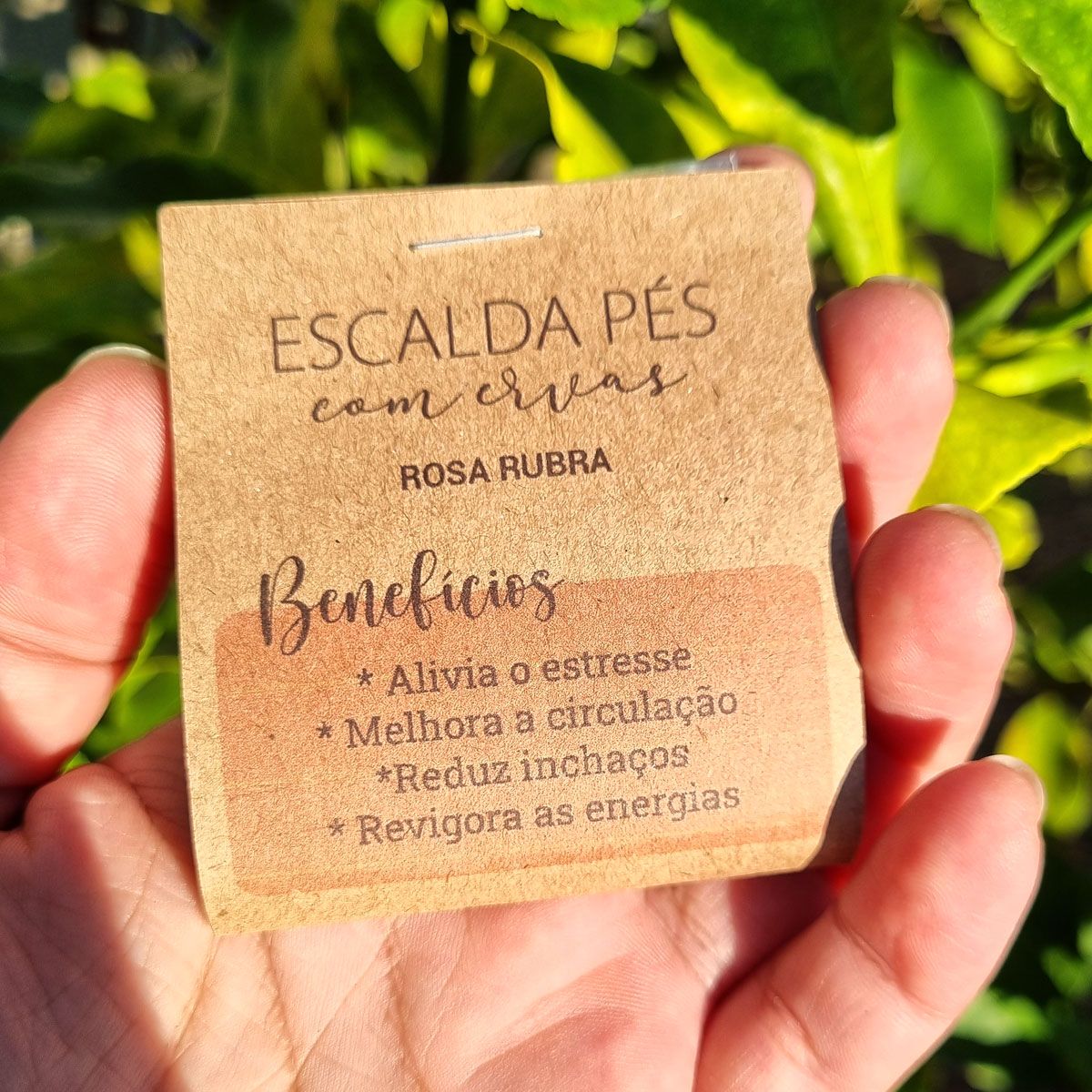 10 Cards Escalda Pés Aromáticos - Lembrancinhas, Brindes Spa